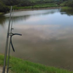 ノーシンカーリグ